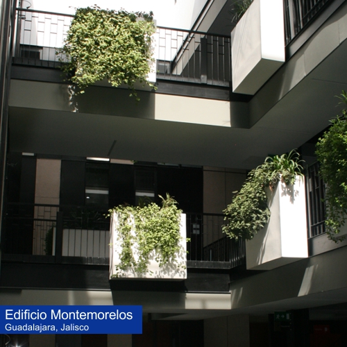 Macetas colgantes de fibra de vidrio del proyecto Edificio Montemorelos